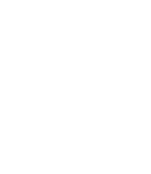 Dash
